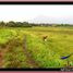  Land for sale in Selemadeg, Tabanan, Selemadeg