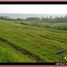  Land for sale in Selemadeg, Tabanan, Selemadeg