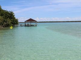  Grundstück zu verkaufen in Othon P Blanco, Quintana Roo, Othon P Blanco