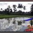  Land for sale in Ubud, Bali, Ubud, Gianyar