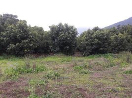  Terreno (Parcela) en venta en Chile, Nogales, Quillota, Valparaíso, Chile