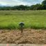  Land for sale in Pereira, Risaralda, Pereira