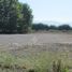  Land for sale in Chile, Concepcion, Concepción, Biobío, Chile