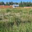  Land for sale in Confluencia, Neuquen, Confluencia