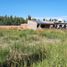  Land for sale in Confluencia, Neuquen, Confluencia