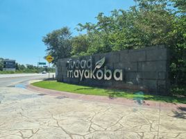  Grundstück zu verkaufen in Cozumel, Quintana Roo, Cozumel