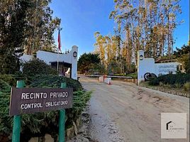  Terreno (Parcela) en venta en Chile, Algarrobo, San Antonio, Valparaíso, Chile