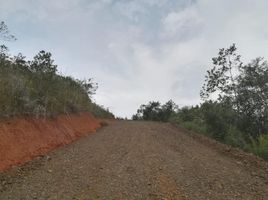  Terreno (Parcela) en venta en Bolivar, Valle Del Cauca, Bolivar