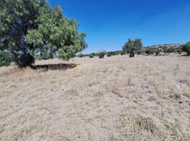  Grundstück zu verkaufen in Tizayuca, Hidalgo, Tizayuca