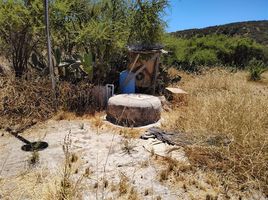  Terreno (Parcela) en venta en Melipilla, Santiago, San Pedro, Melipilla