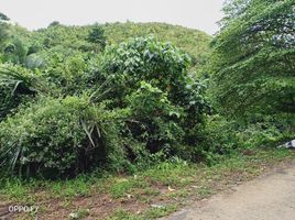  Land for sale in Compostela, Cebu, Compostela