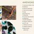 在Progreso, Yucatan出售的3 卧室 公寓, Progreso