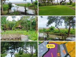  Land for sale in Canggu, Bali, Canggu