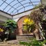 5 Bedroom House for sale in Cuautla, Morelos, Cuautla