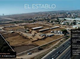  Terrain for sale in Tijuana, Baja California, Tijuana