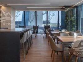 226 m2 Office for rent in Nuevo Leon, Monterrey, Nuevo Leon