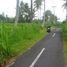  Land for sale in Tampak Siring, Gianyar, Tampak Siring