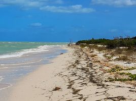  Grundstück zu verkaufen in Celestun, Yucatan, Celestun