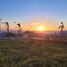  Land for sale in Tijuana, Baja California, Tijuana, Baja California