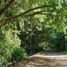  Land for sale in Chile, Los Angeles, Biobío, Biobío, Chile