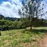  Land for sale in Popayan, Cauca, Popayan