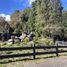  Land for sale in Chile, Puerto Varas, Llanquihue, Los Lagos, Chile
