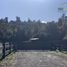  Land for sale in Chile, Puerto Varas, Llanquihue, Los Lagos, Chile