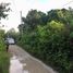  Land for sale in Dauis, Central Visayas, Dauis