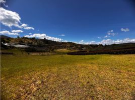  Land for sale in El Carmen De Viboral, Antioquia, El Carmen De Viboral