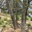 Terrain à vendre à Nicolas Romero, Mexico, Nicolas Romero
