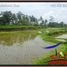  Tanah for sale in Tampak Siring, Gianyar, Tampak Siring