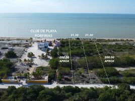  Grundstück zu verkaufen in Celestun, Yucatan, Celestun