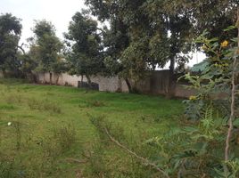  Land for sale in Cotacachi, Imbabura, Cotacachi, Cotacachi