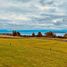 5 Bedroom House for rent in Chile, Futrono, Ranco, Los Rios, Chile