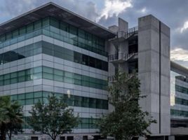 1,103 m² Office for rent in Monterrey, Nuevo Leon, Monterrey