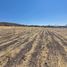  Land for sale in Huimilpan, Queretaro, Huimilpan