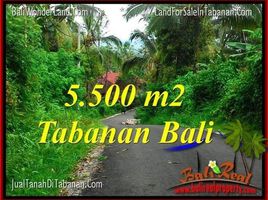  Land for sale in Penebel, Tabanan, Penebel