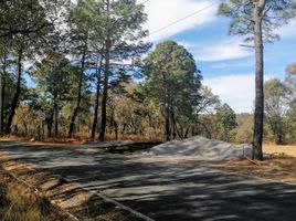  Terreno (Parcela) en venta en Atemajac De Brizuela, Jalisco, Atemajac De Brizuela
