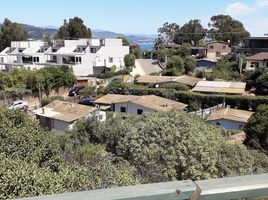  Land for sale in Chile, Puchuncavi, Valparaiso, Valparaiso, Chile