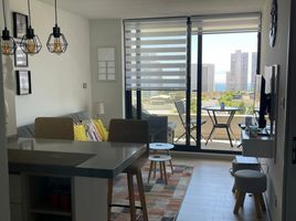 1 Bedroom Apartment for rent in Chile, Vina Del Mar, Valparaiso, Valparaiso, Chile