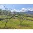  Land for sale in La Mesa, Cundinamarca, La Mesa