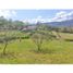  Land for sale in La Mesa, Cundinamarca, La Mesa