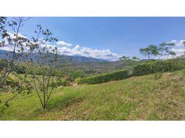  Land for sale in La Mesa, Cundinamarca, La Mesa