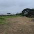  Land for sale in Daule, Guayas, Daule, Daule