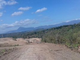  Tanah for sale in Belu, East Nusa Tenggara, Malaka Tengah, Belu