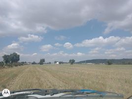  Terreno (Parcela) en venta en Zempoala, Hidalgo, Zempoala