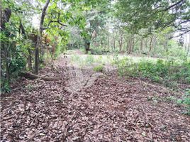  Terrain for sale in Caldera, Boquete, Caldera