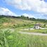  Land for sale in Cebu Central Visayas, Cebu City, Cebu, Central Visayas, Philippines