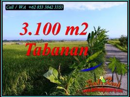  Tanah for sale in Selemadeg, Tabanan, Selemadeg