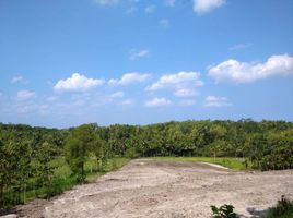  Land for sale in Yogyakarta, Pengasih, Kulon Progo, Yogyakarta